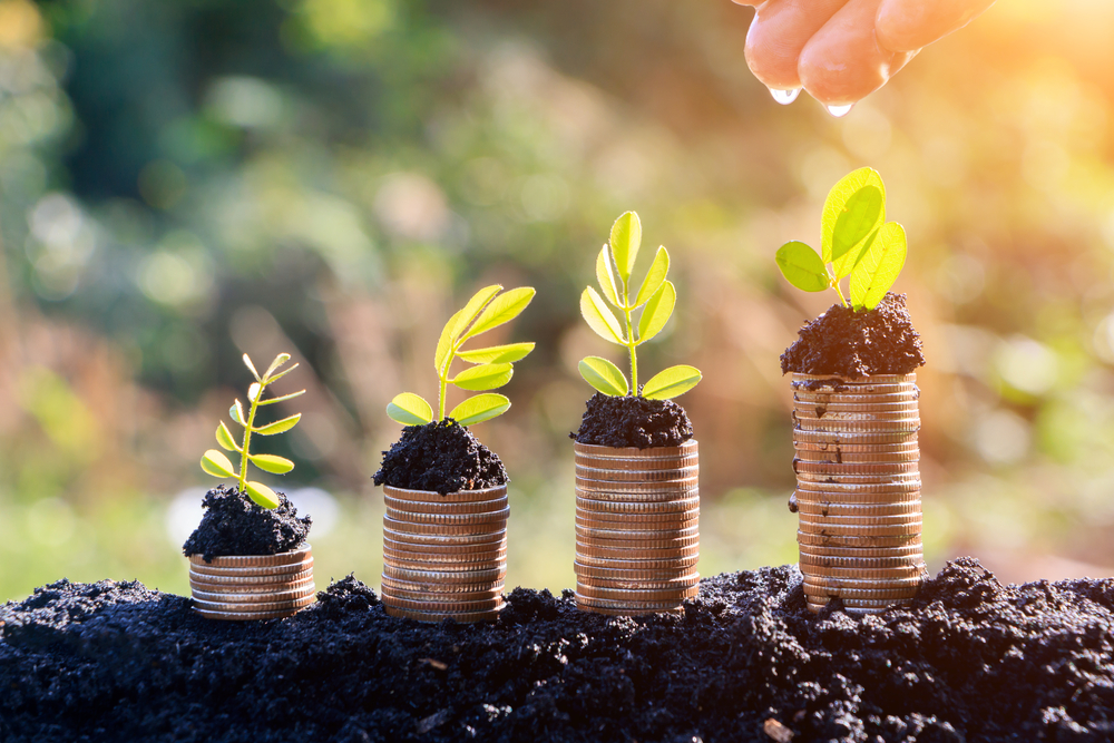 Você está visualizando atualmente Decisões e Dinheiro